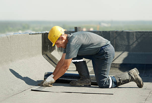 Best Insulation Contractors for Homes  in Nashua, IA